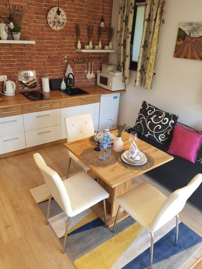 Apartament Lavender Jelenia Góra Extérieur photo