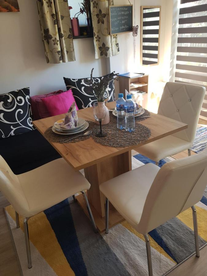 Apartament Lavender Jelenia Góra Extérieur photo